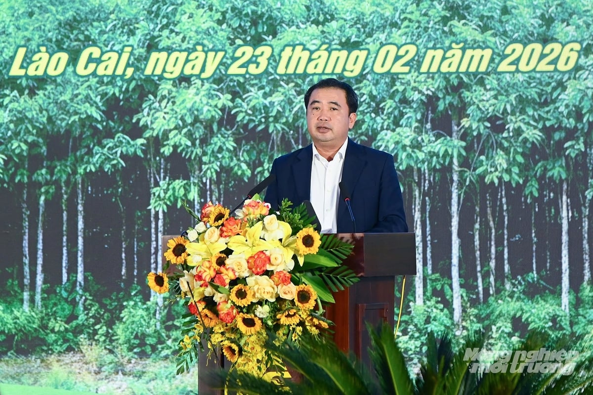 Bộ trưởng Trần Đức Thắng phát biểu tại buổi Lễ. Ảnh: Tùng Đinh.
