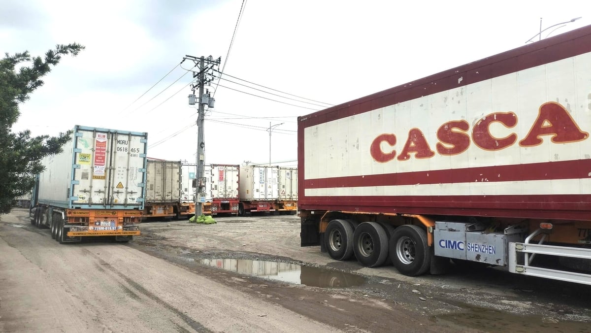 Các xe container vào bãi test tại chân cầu Ngũ Hiệp. Ảnh: Minh Đảm.