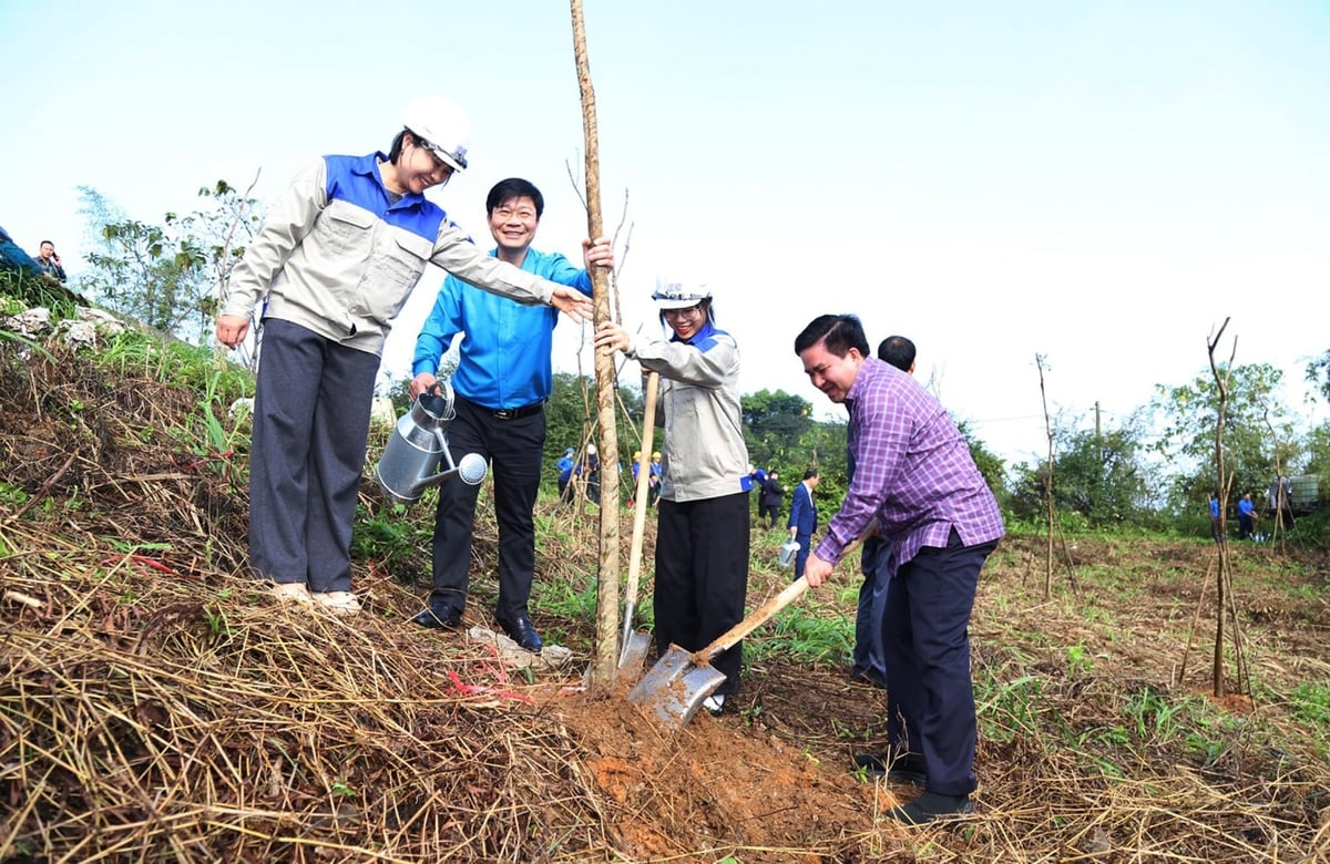 Trưởng Ban Quản lý Khu kinh tế Lào Cai Vương Trinh Quốc (ngoài cùng bên phải) tham gia trồng cây xanh cùng các doanh nghiệp tại Khu công nghiệp Tằng Loỏng. Ảnh: Bích Hợp.