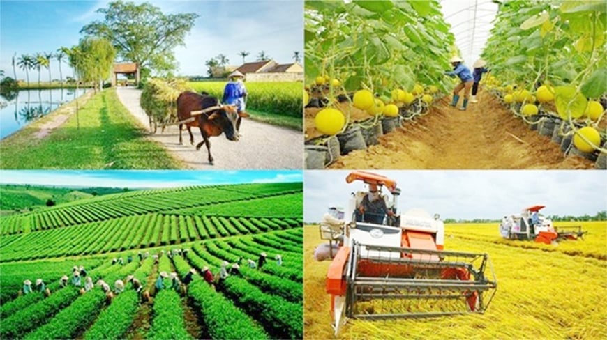 Chương trình được ban hành và triển khai thống nhất trên địa bàn cả nước, đã khắc phục được những vướng mắc, bất cập của giai đoạn 2021- 2025. Ảnh: VGP.