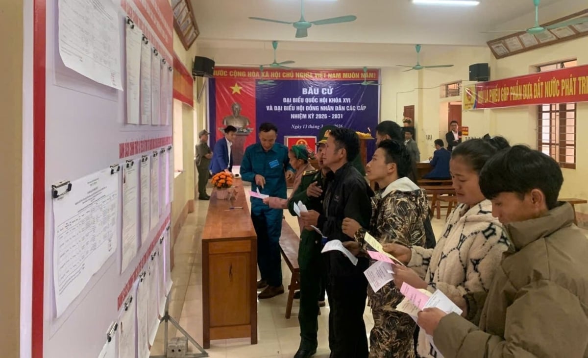 Các cử tri đọc kỹ thông tin để lựa chọn đại biểu. Ảnh: Triều Vương.
