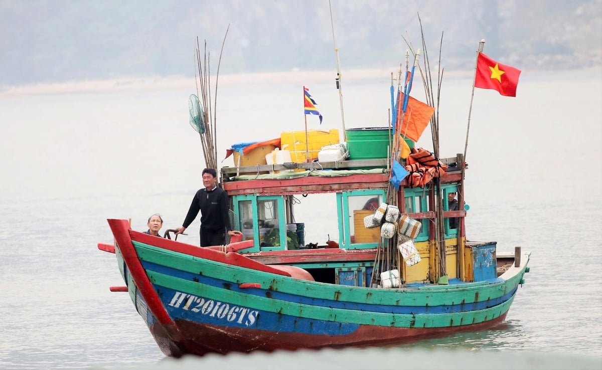 All 3,900 fishing vessels measuring 6 meters or longer have installed the eCDT electronic traceability software. Photo: Thanh Nga.