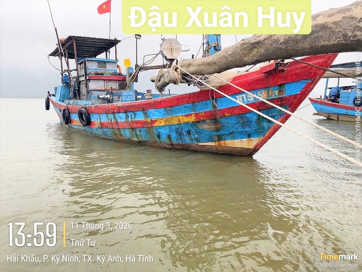 Fishing vessels that do not meet operational requirements are monitored daily. Photo: Thanh Nga.