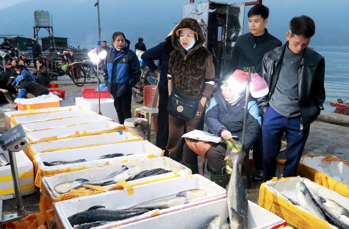 Ha Tinh authorities and fishermen are striving alongside the whole country to lift the IUU 'yellow card' soon. Photo: Thanh Nga.
