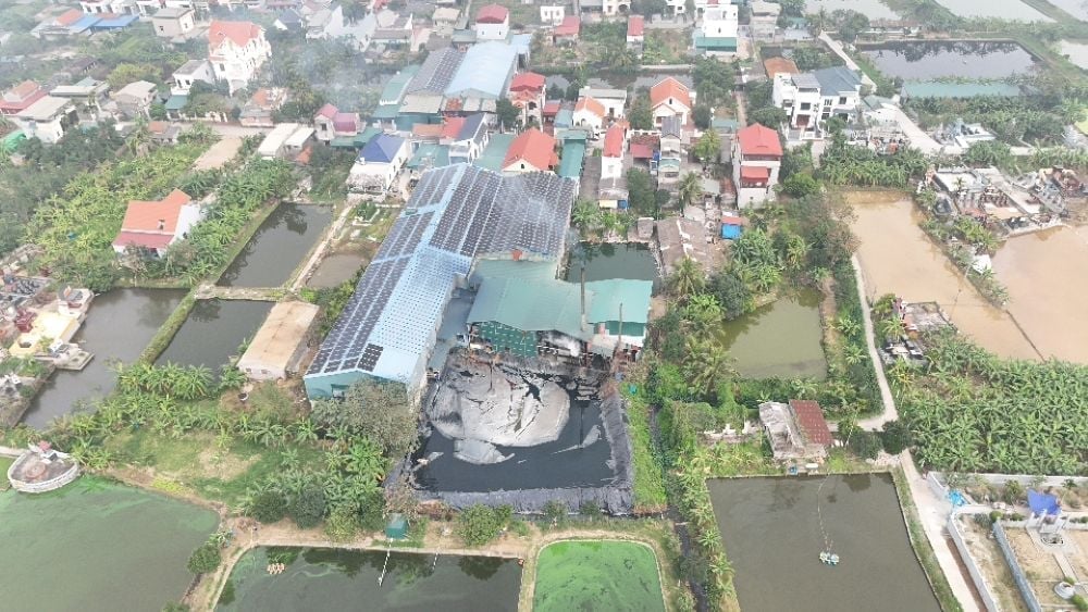 Toàn cảnh xưởng giặt là của Công ty Long Xuyên nằm trong khu dân cư tại xã Bình Giang. Ảnh: Quán Dũng.
