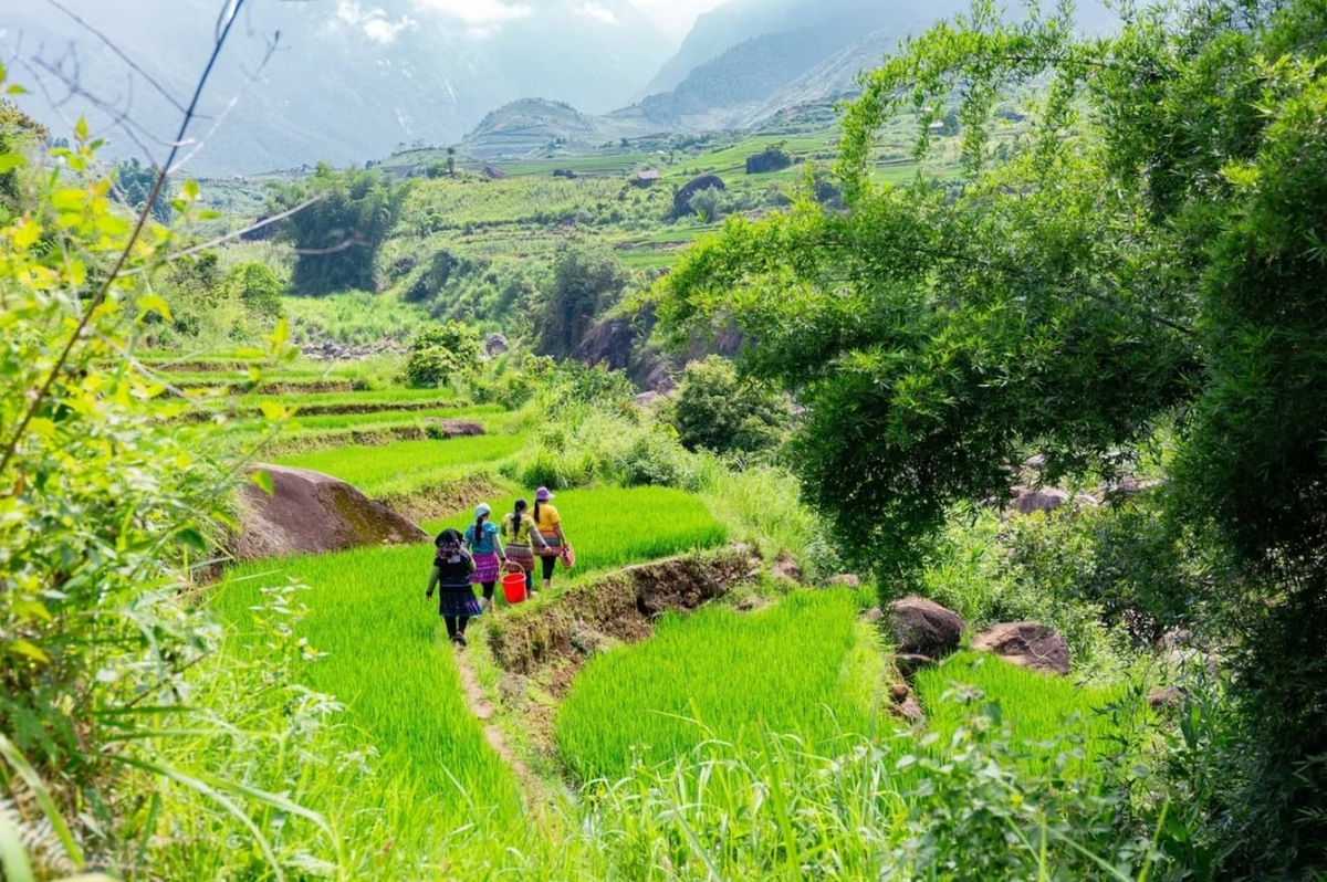 Women in remote mountainous areas often have to climb hills or walk down to streams to collect water for daily use. Photo: Bui Hoang Quan. 