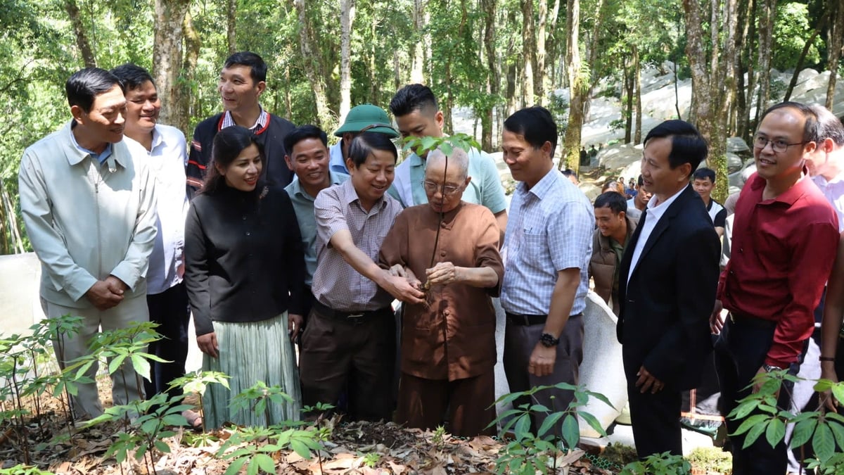 Dược sĩ Đào Kim Long về thăm lại khu vực 53 năm trước đã phát hiện ra cây sâm Ngọc Linh. Ảnh: B.T.