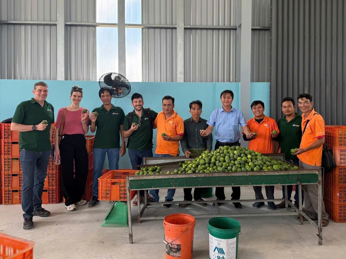 A visiting delegation tours the cooperative’s operations