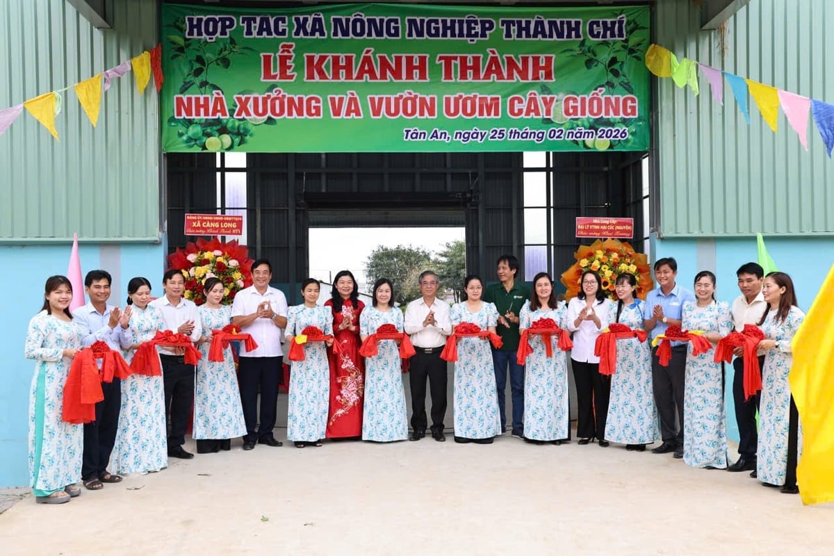 Chau Van Hoa (in a white shirt, center), Vice Chairman of the People’s Committee of Vinh Long Province, attends the inauguration of the cooperative’s workshop and nursery.