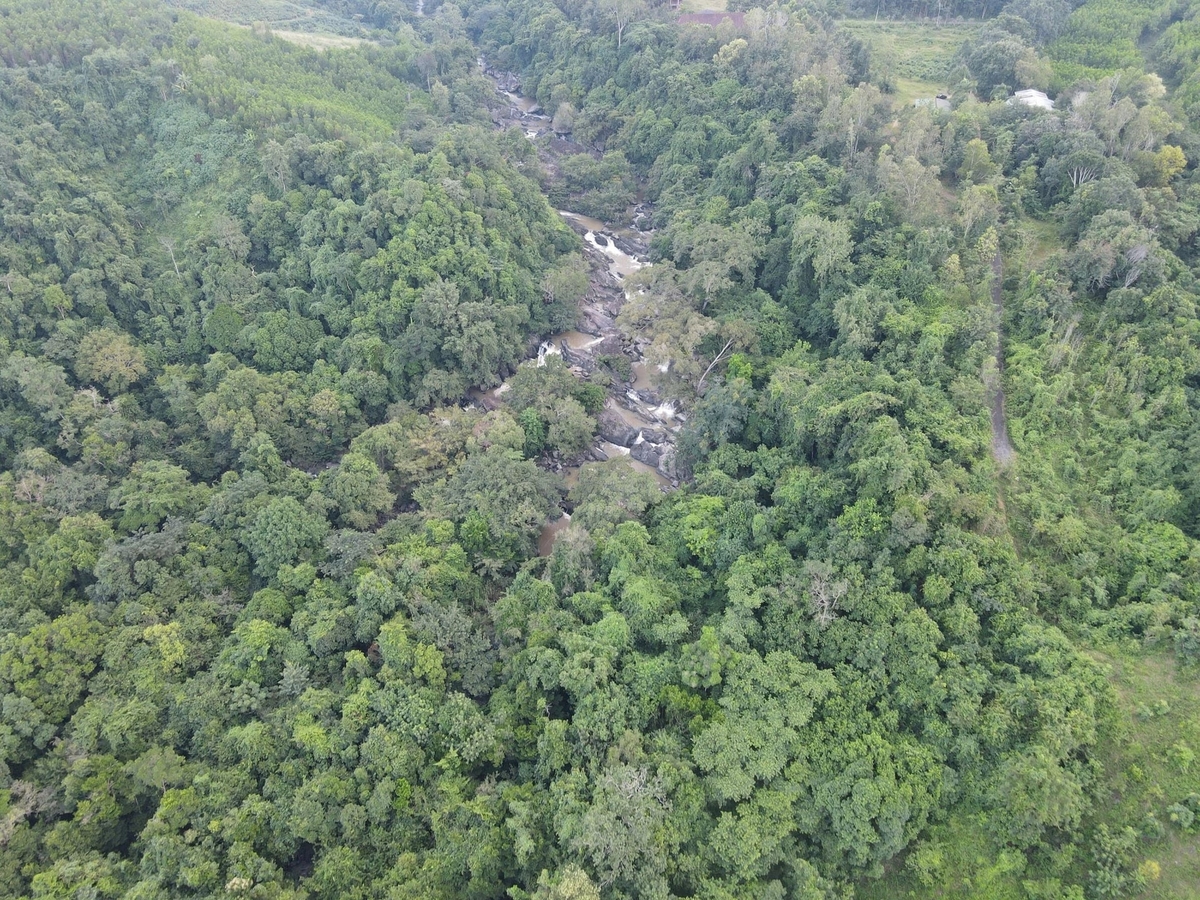 Dak Lak province develops agriculture toward ecological, organic, circular, and low-emission models. Photo: Tran Tho.