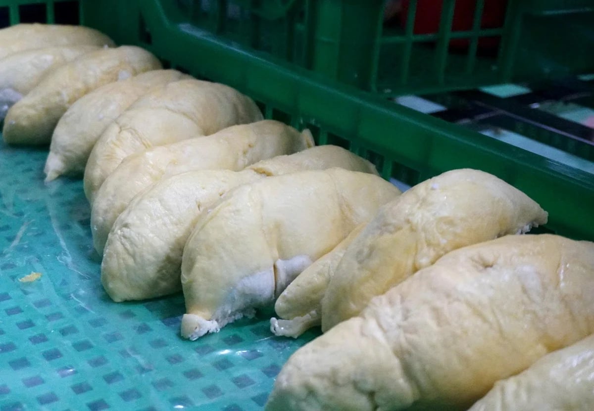 Durian pulp prepared for freezing. Photo: Le Binh.