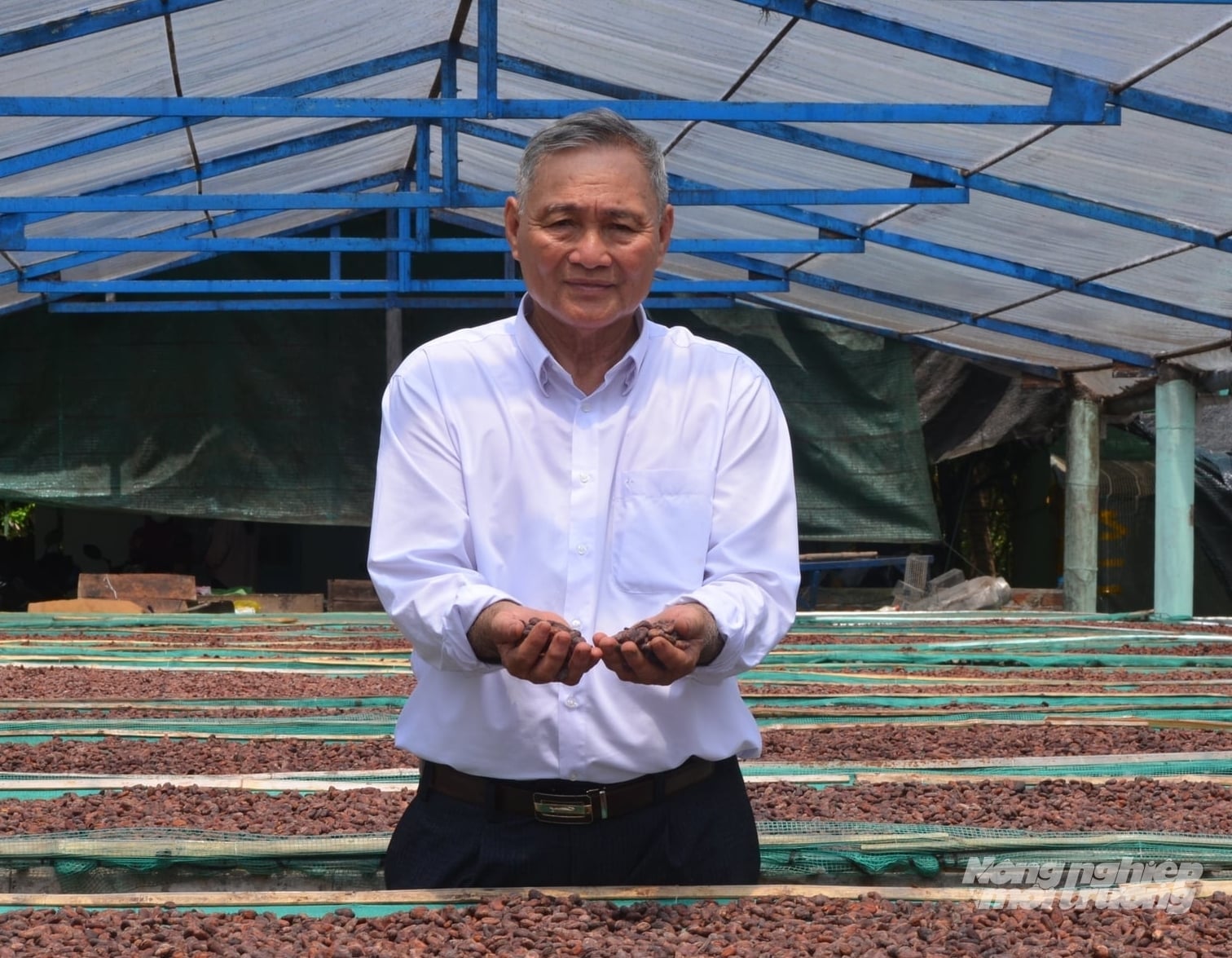 Ông Nguyễn Văn Suối, Giám đốc Hợp tác xã Tích Khánh cho biết, hợp tác xã đang có chính sách liên kết cung ứng cây giống và bao tiêu trái ca cao đầu ra cho bà con. Ảnh: Minh Đảm.