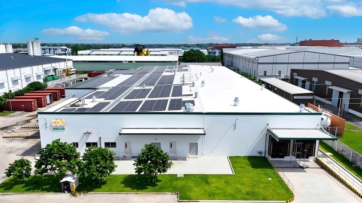 The Bel Ga Tay Ninh hatchery applies green energy to reduce emissions. Photo: De Heus.