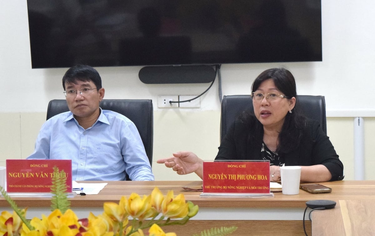 Thứ trưởng Nguyễn Thị Phương Hoa khẳng định lãnh đạo Bộ luôn lắng nghe, chỉ đạo các đơn vị chức năng nghiên cứu, tham mưu giải quyết kiến nghị của công dân theo đúng thẩm quyền. Ảnh: Trường Giang.