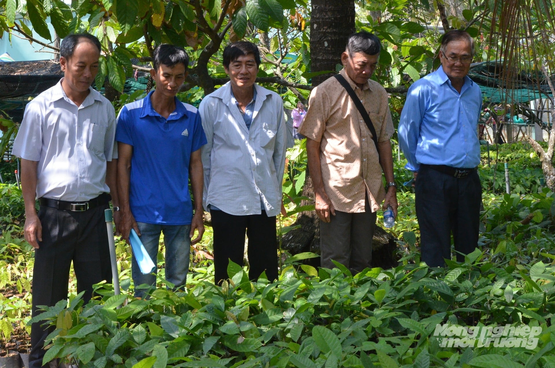 Nông dân tham quan vườn ươm cây ca cao giống của Hợp tác xã Tích Khánh. Ảnh: Minh Đảm.