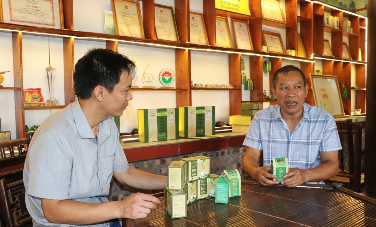 Thái Nguyên sẽ dành nhiều nguồn lực hỗ trợ các sản phẩm nông sản chủ lực. Ảnh: Quang Linh.