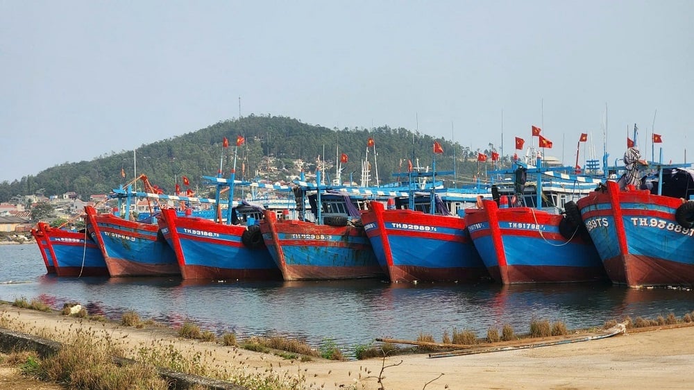 anh-1-153358_8