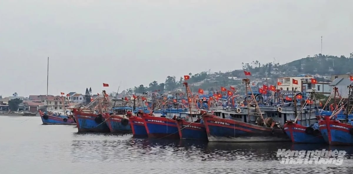 Fishing vessels anchored at Lach Bang Fishing Port, Thanh Hoa province. Photo: Quoc Toan.