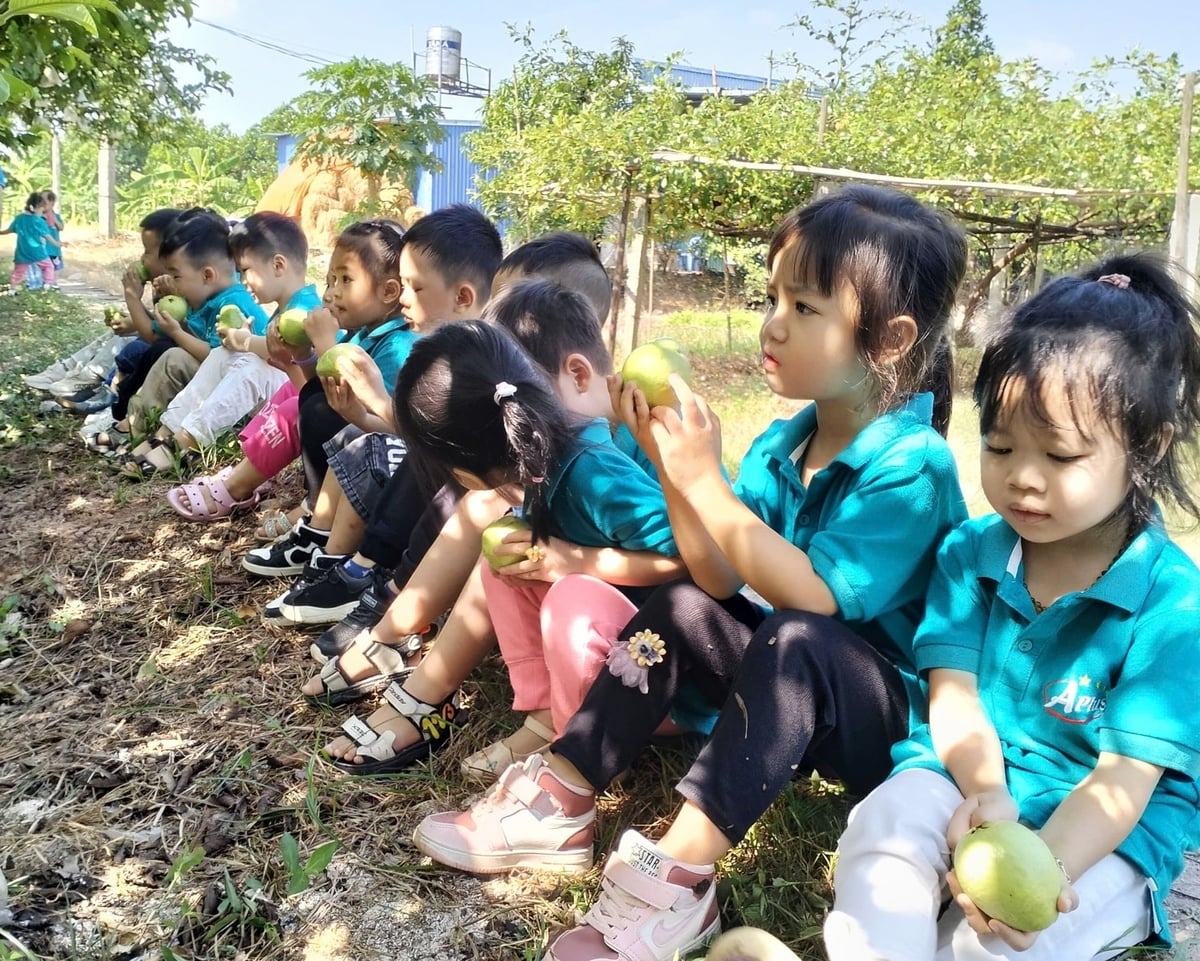 Vườn cây hữu cơ trở thành điểm học tập ngoại khóa cho học sinh các trường của địa phương. Ảnh: Trung Nguyên. 