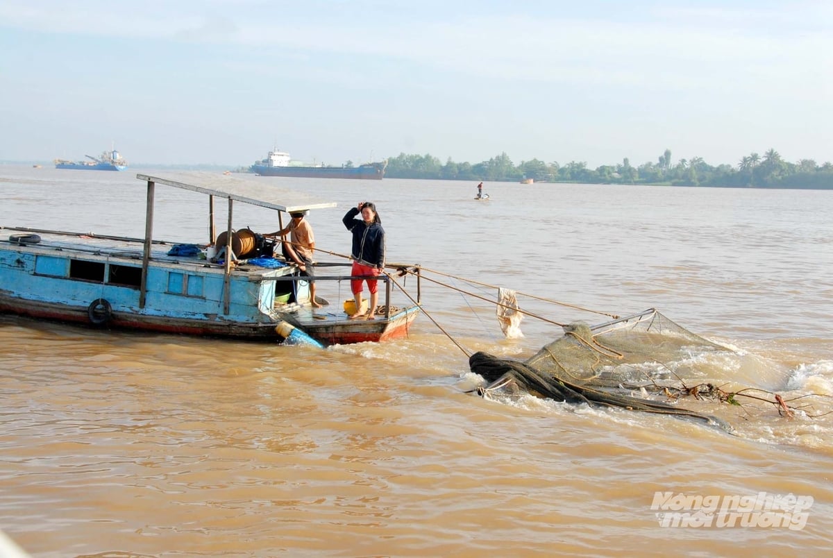 Ngư dân khai thác thủy sản trên sông Tiền theo phương thức truyền thống, không sử dụng xung điện, góp phần bảo vệ nguồn lợi thủy sản bền vững. Ảnh: Lê Hoàng Vũ.