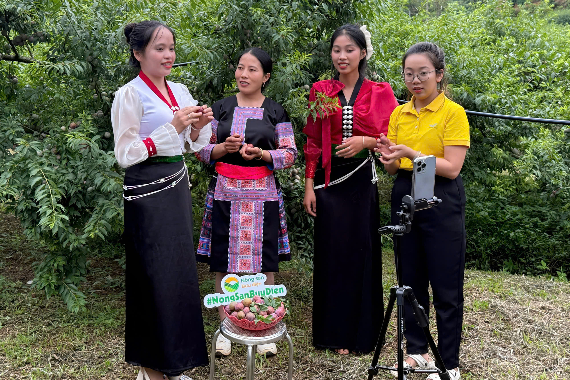 Nông dân Sơn La đổi mới phương thức bán hàng, livestream quảng bá, tiêu thụ nông sản trên nền tảng số. Ảnh: Minh Thu.