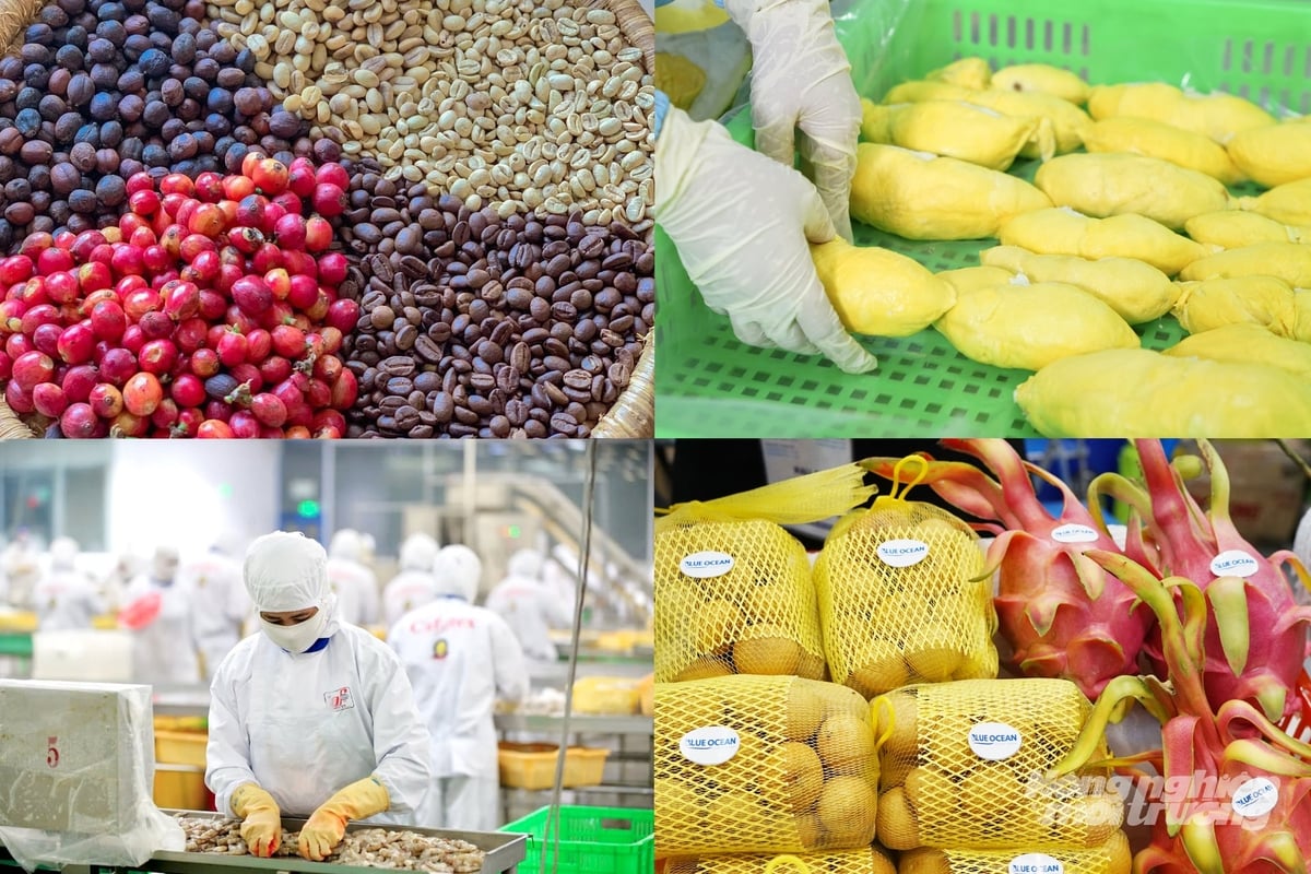 Bộ Nông nghiệp và Môi trường đặt mục tiêu năm 2026, kim ngạch xuất khẩu nông, lâm, thủy sản đạt khoảng 73-74 tỷ USD. Ảnh: Nguyễn Thủy.