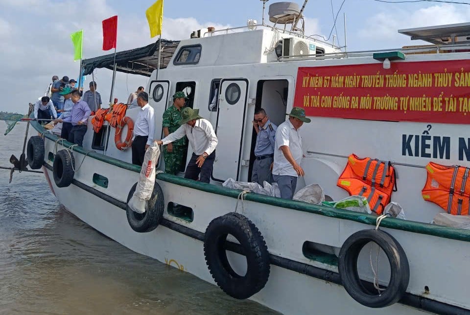 Tỉnh Vĩnh Long thả 300.000 con giống nhân kỷ niệm Ngày truyền thống ngành Thủy sản. Ảnh: Minh Đảm.