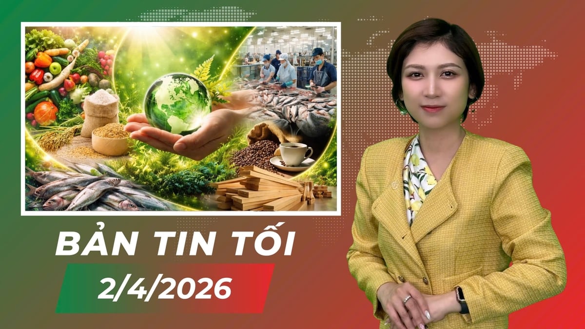anh