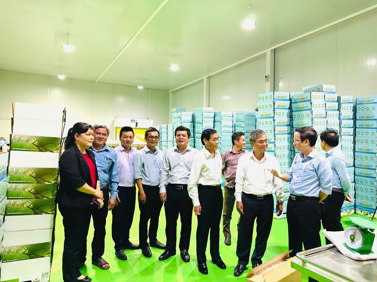 Ông Châu Văn Hòa (thứ 3 từ phải sang), Phó Chủ tịch UBND tỉnh Vĩnh Long tham quan nhà máy chế biến dừa tươi xuất khẩu của Vina T&T Group. Ảnh: Minh Đảm.