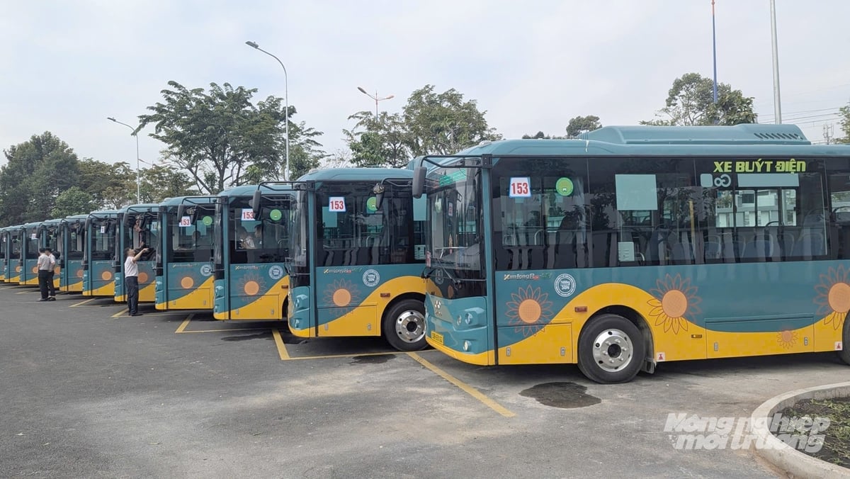 Các tuyến xe buýt điện tại TP.HCM đang được mở rộng nhằm tăng phương tiện giao thông xanh, giảm khí thải và tạo thêm lựa chọn đi lại thân thiện môi trường cho người dân. Ảnh: Lê Bình. Các tuyến xe buýt điện tại TP.HCM đang được mở rộng nhằm tăng phương tiện giao thông xanh, giảm khí thải và tạo thêm lựa chọn đi lại thân thiện môi trường cho người dân. Ảnh: Lê Bình.