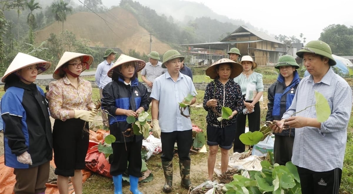 Associate Professor Dang Van Dong, Deputy Director of the Fruit and Vegetable Research Institute (right), discusses lotus cultivation techniques with farmers in Quy Mong Commune. Photo: Thanh Tien.
