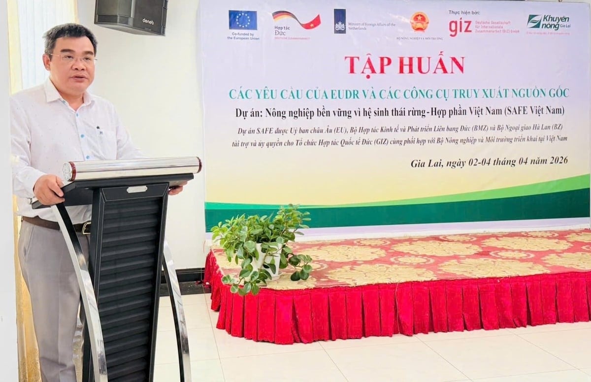 Mr. Huynh Viet Hung, Director of the Gia Lai Agricultural Extension Center, responds to trainees' questions during the training course. Photo: V.D.T.