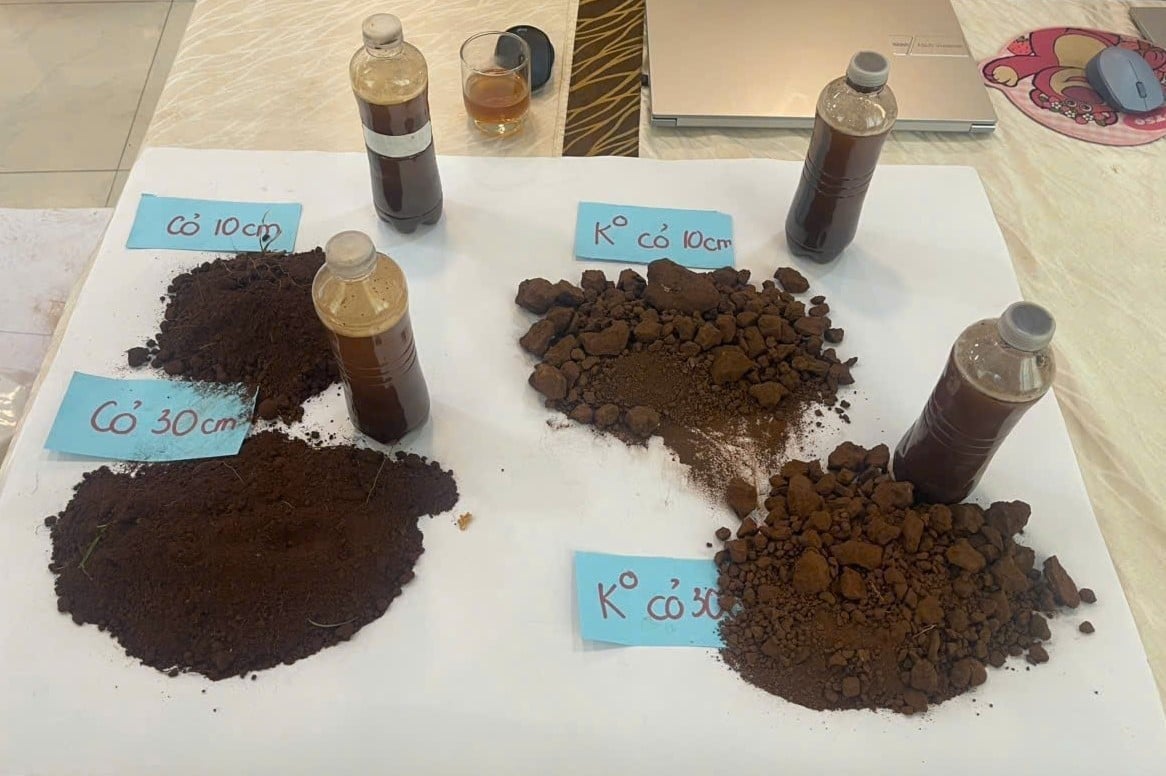 Trainees practiced soil sampling at depths of 0–10 cm and 10–30 cm to assess whether the soil structure was compacted or loose and to evaluate humus content through visual observation. Photo: V.D.T.