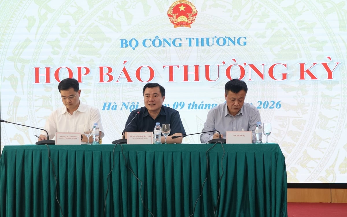 Thứ trưởng Bộ Công Thương Nguyễn Sinh Nhật Tân phát biểu tại họp báo. Ảnh: Trung Nguyên.