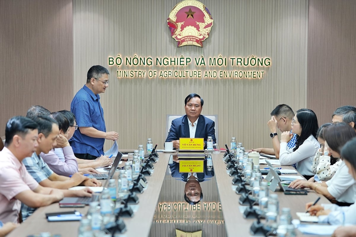 Ngo Hong Phong, Director, reports on several shortcomings and limitations in recent operations. Photo: Bao Thang.