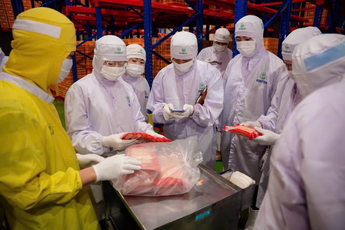 The Hanoi Department of Agriculture and Environment inspects compliance with food safety conditions at a local production facility. Photo: Tran Son.