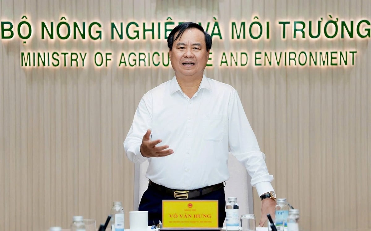 Deputy Minister of Agriculture and Environment Vo Van Hung. Photo: Bao Thang.