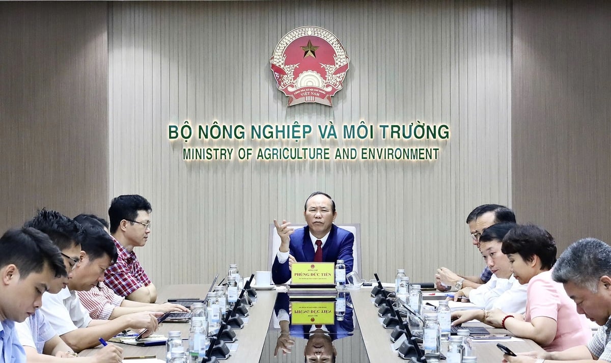 Thứ trưởng Bộ Nông nghiệp và Môi trường Phùng Đức Tiến chủ trì cuộc họp ứng phó khẩn cấp với chủng virus lở mồm long móng SAT-1. Ảnh: Hồng Ngọc. Thứ trưởng Bộ Nông nghiệp và Môi trường Phùng Đức Tiến chủ trì cuộc họp ứng phó khẩn cấp với chủng virus lở mồm long móng SAT-1. Ảnh: Hồng Ngọc.