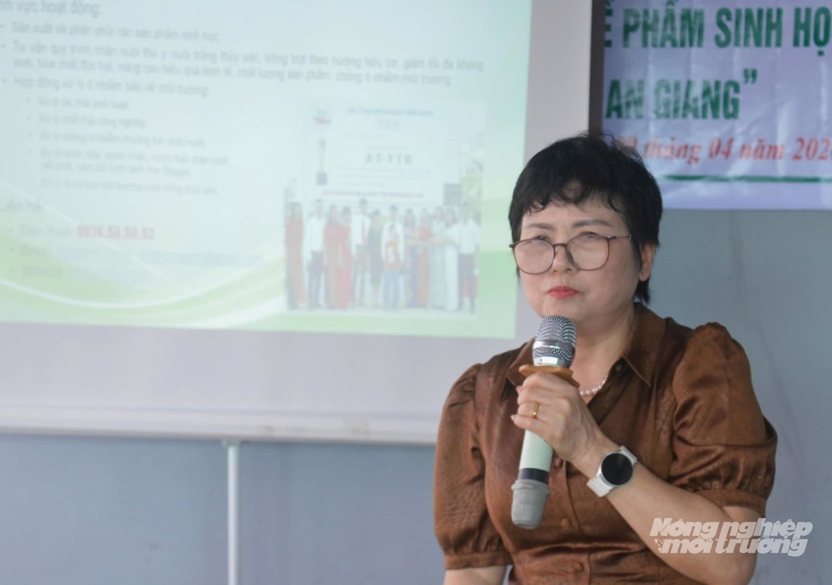 Nguyen Thi Minh, Director of TMH Environmental and Services Co., Ltd., presents the benefits of using the R3 microbial product to rapidly decompose rice straw in the field, creating favorable conditions for shrimp–rice farming. Photo: Trung Chanh.