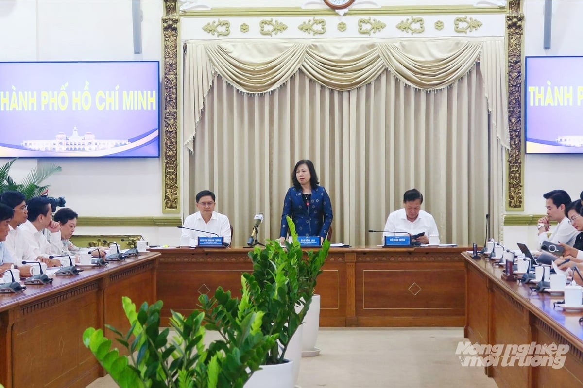 A Ministry of Health delegation held a working session with Ho Chi Minh City on the pilot model of the Department of Food Safety. Photo: Nguyen Thuy.