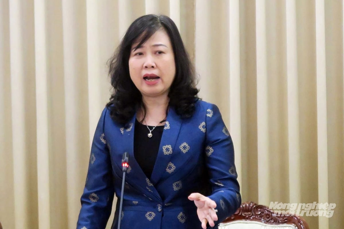 Minister of Health Dao Hong Lan highly praised the recent performance of the Ho Chi Minh City Department of Food Safety. Photo: Nguyen Thuy.