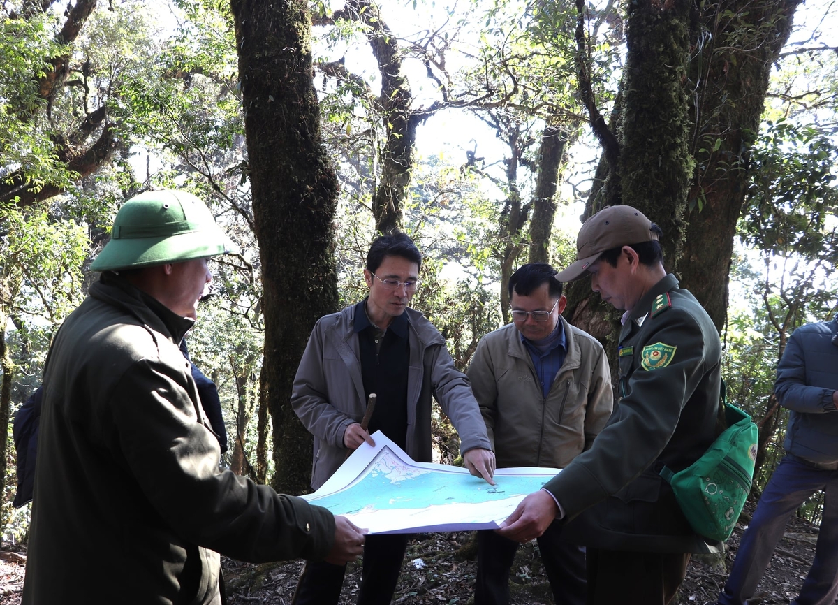 Vice Chairman Ha Trong Hai and a delegation survey forest conditions in Lai Chau. Photo: Minh Hung.