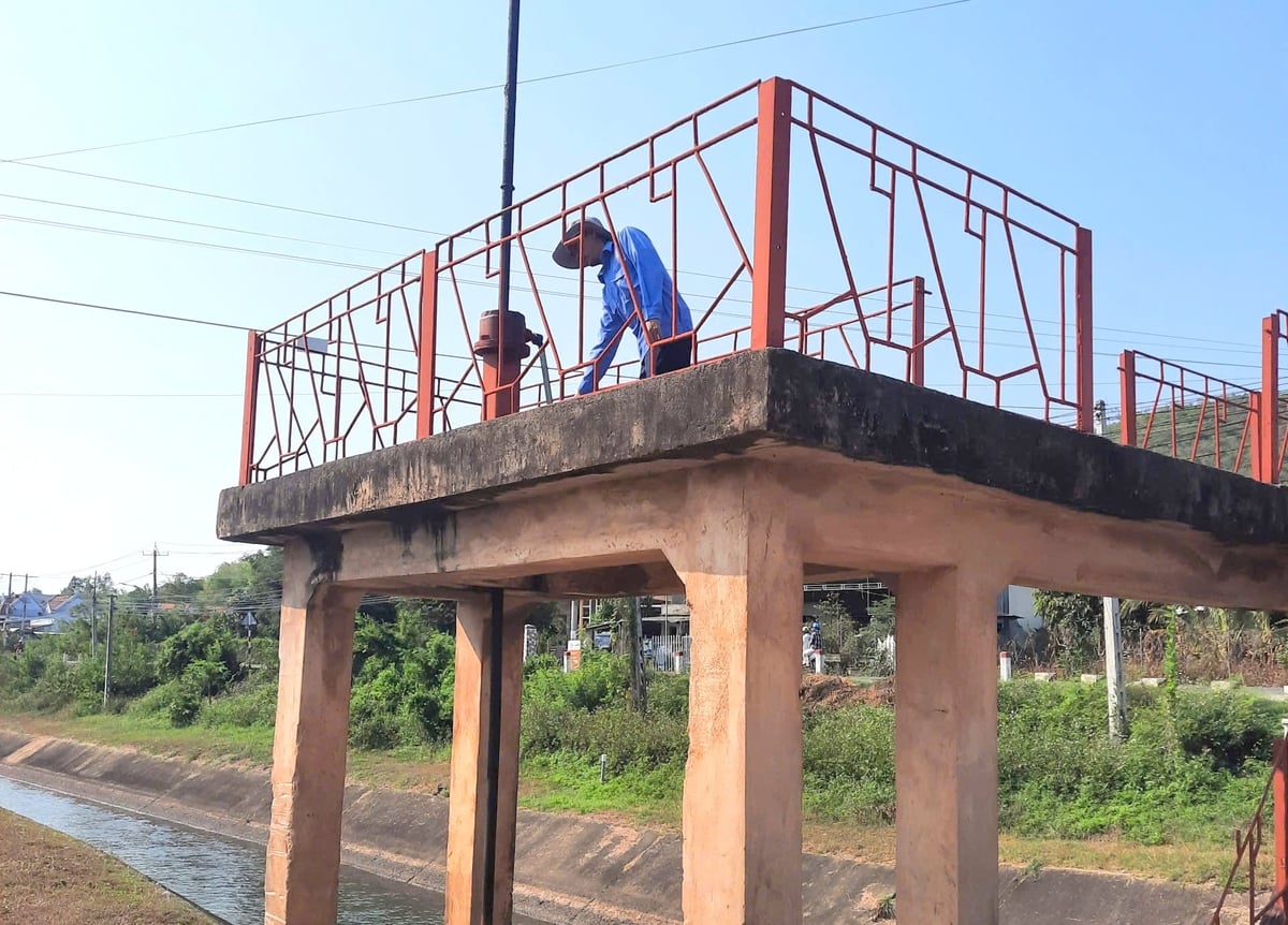 Nhờ điều tiết nước hợp lý nên vụ đông xuân đảm bảo, an toàn. Ảnh: KS.