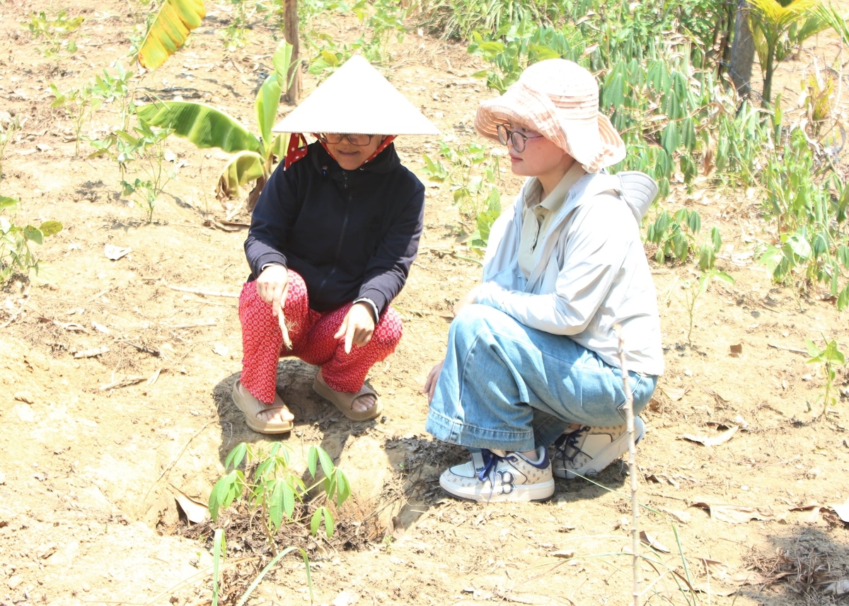 Chị Đinh Thị Khá (bên trái) ở thôn Tà Lang, phường Hải Vân thực hành ủ rác hữu cơ thành phân bón cho cây trồng tại vườn nhà. Ảnh: L.A.