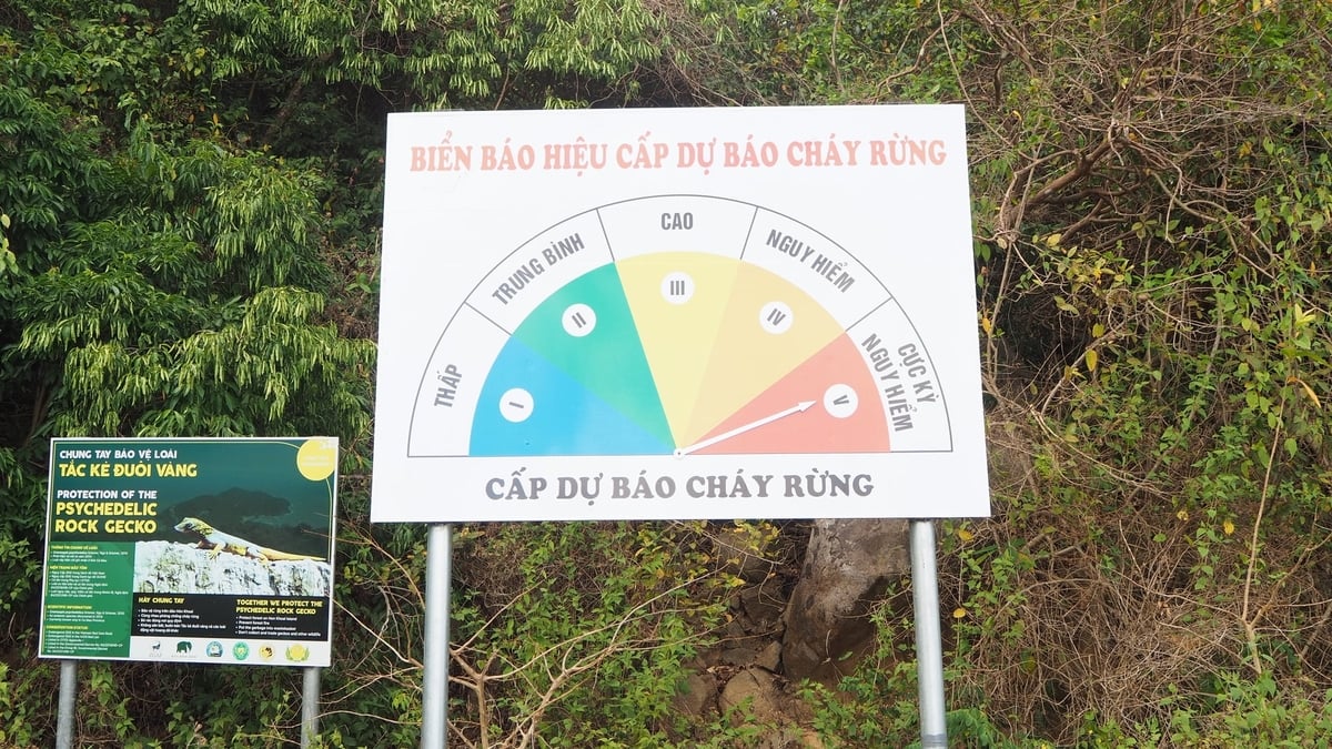 Biển cảnh báo nguy cơ cháy rừng đang dự báo cấp cháy cao nhất. Ảnh: Trọng Linh.