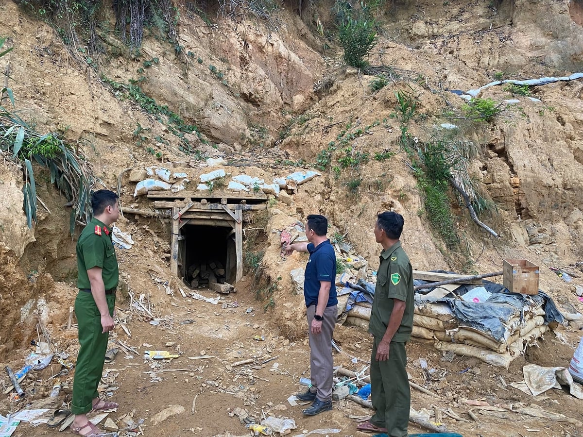 Một hầm vàng vừa bị đào xuyên núi, dấu hiệu hoạt động khai thác trái phép vẫn còn mới. Ảnh: CAĐN.