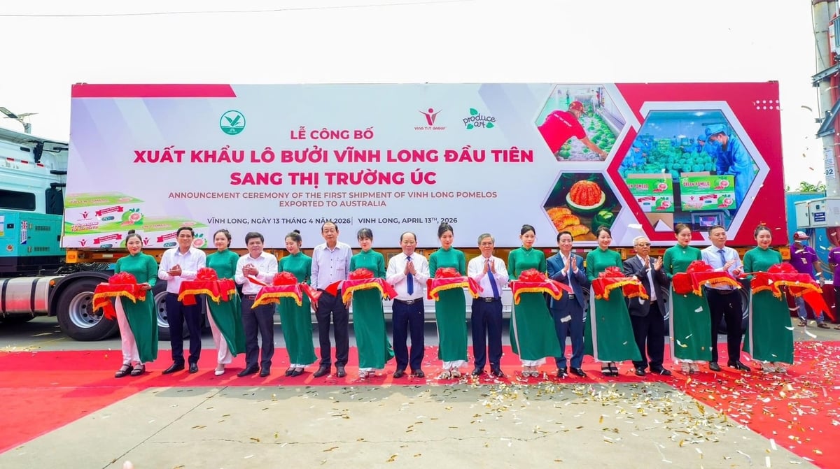 Tại Nhà máy Kim Thanh Bến Tre (ấp Phú Ngãi, xã Giao Long, Vĩnh Long), UBND tỉnh Vĩnh Long phối hợp với Vina T&T Group tổ chức lễ xuất khẩu lô bưởi đầu tiên của địa phương sang thị trường Australia. Ảnh: Thanh Sơn.
