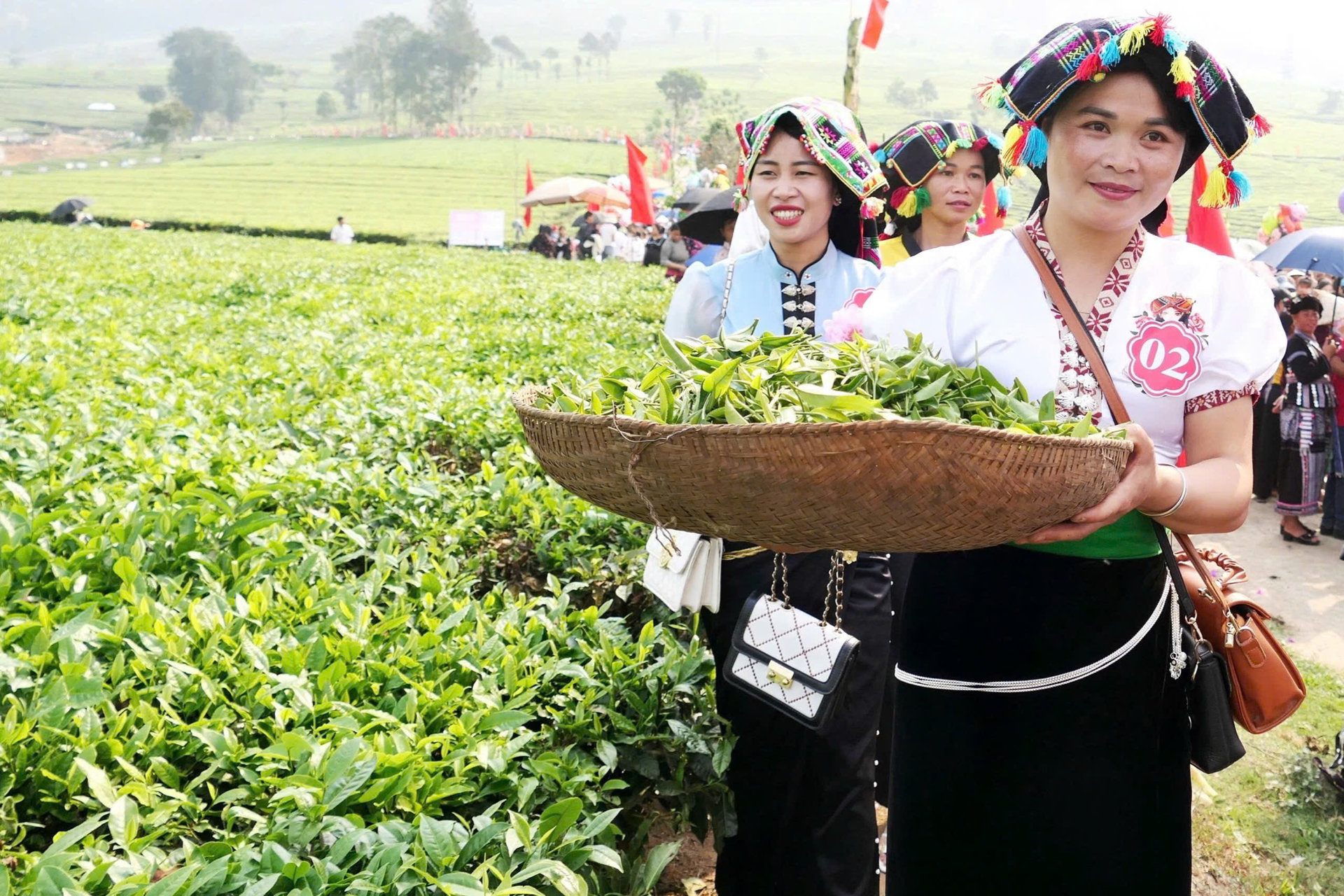 The Spring Tea Picking Festival in Tan Uyen attracted a large number of locals and tourists. Photo: Thu Trang.