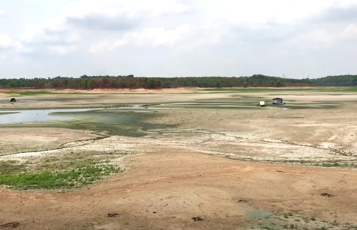In 10 provinces and cities from Thanh Hoa to Khanh Hoa, the total area at risk of drought, water shortages, and saltwater intrusion is estimated to range from 10,700 hectares to 16,400 hectares. Photo: Son Trang.