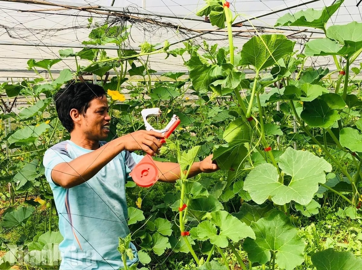 Măng Đen có tiềm năng về phát triển nông nghiệp sinh thái. Ảnh: V.H.